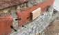 Ant-Bio-Box fliser/muere