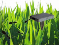 Ant-Bio-Box Græs